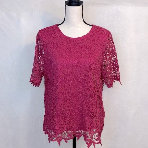 NWT Philosophy Fuchsia Short Sleeve Lace Top Size Large - Picture 1 of 6